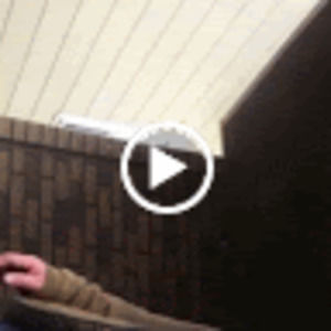 Meet your Posher, Louis